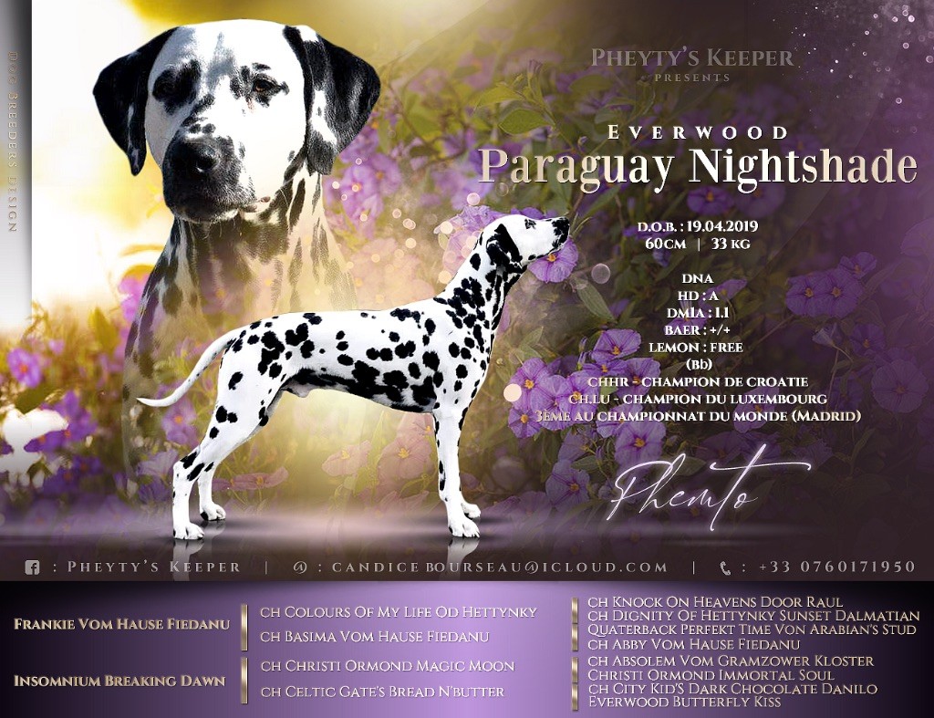 CH. Everwood Paraguay nightshade